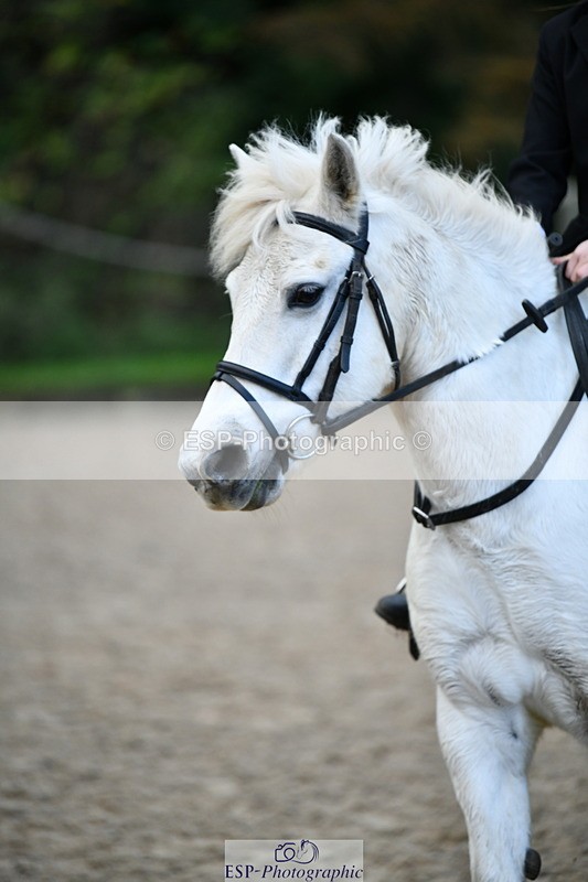 251004A-100412-00353 - Classes 1-2-3 40cm