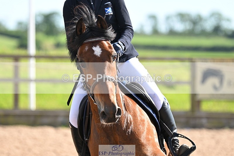 240629A-165032-07739 - Cls 10 Newcomers 2nd R Jump Off and P