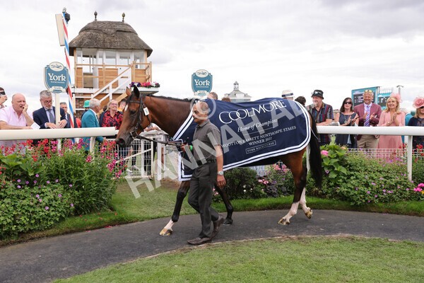 yr19082022r4-122 - Race 4 3.35pm Coolmore Wootton Bassett Nunthorpe Stakes (British Champion Series Race)