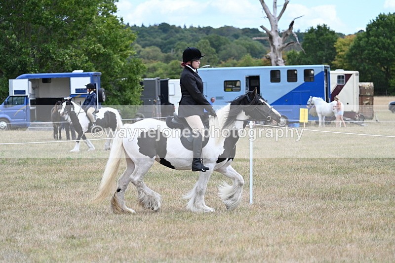 WJ7_4394 - Class 11 Family Mount