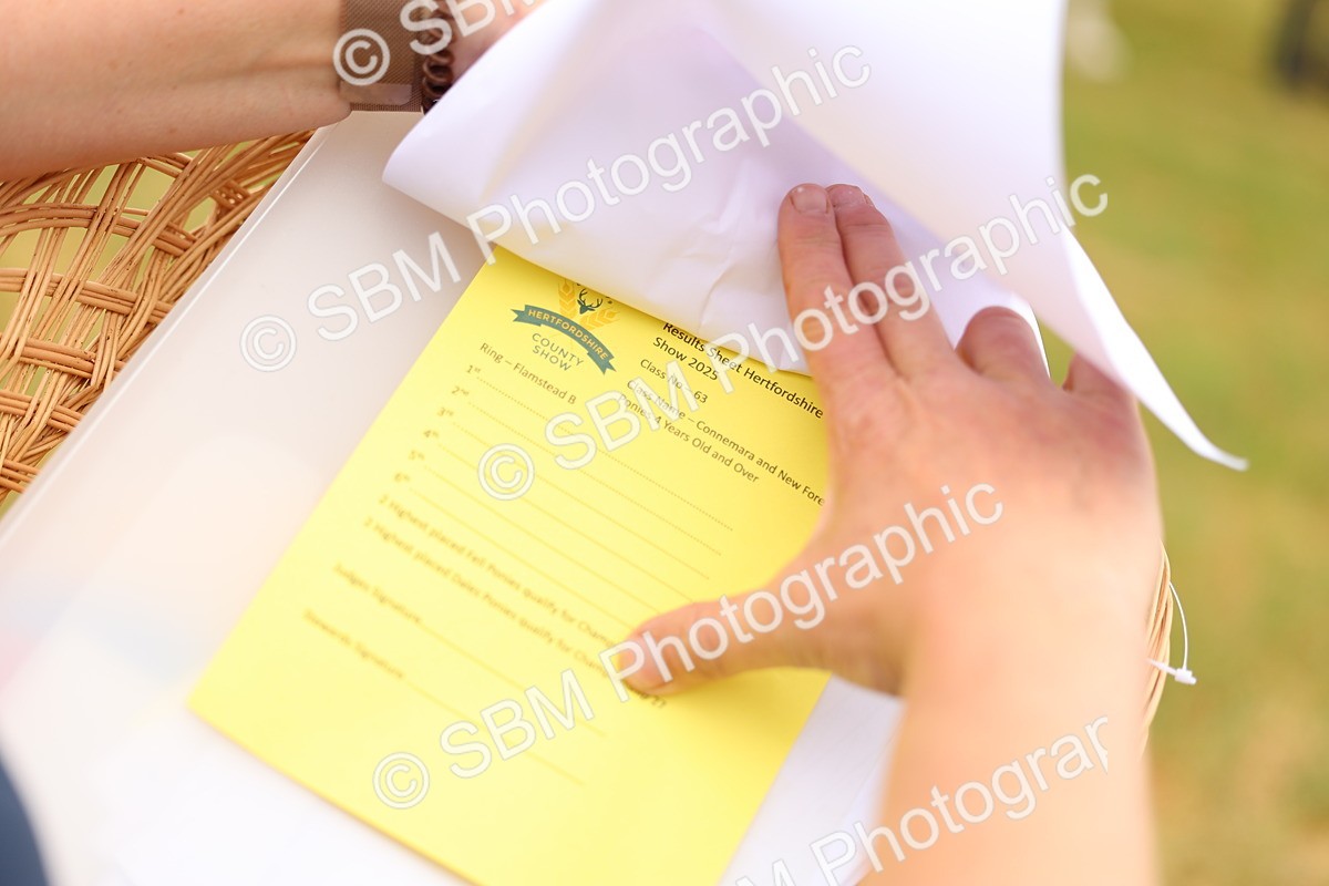 SBM_04192 - Class 64-67 - Shetland Pony In Hand