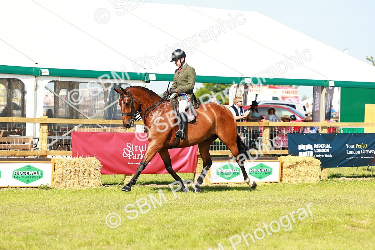 SBM_11993 - Class 66-69 - RIHS Ridden Hunters Inc Small Hunter