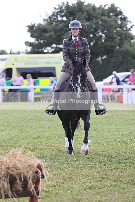 JPP_2349 - Class 19: Working Hunter 60cm