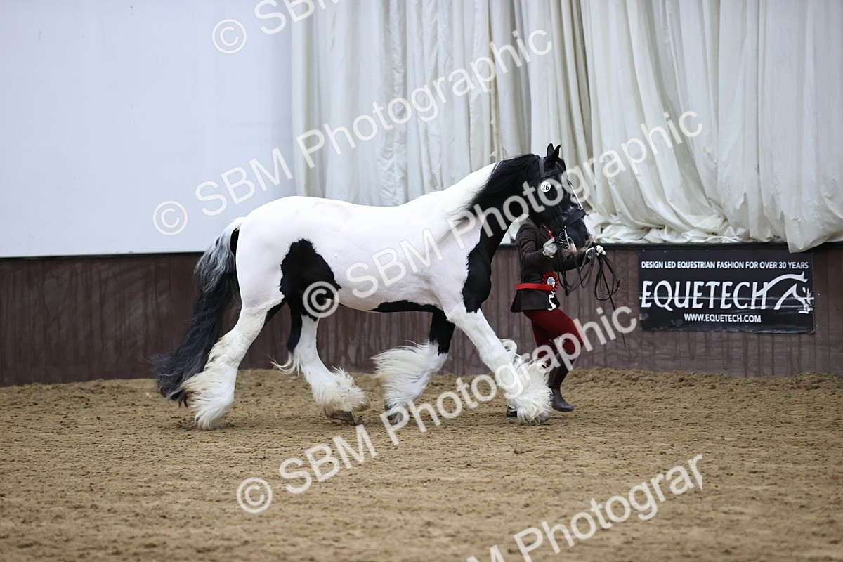 SBM_5701 - Class 40 - RESS In Hand Qualifier