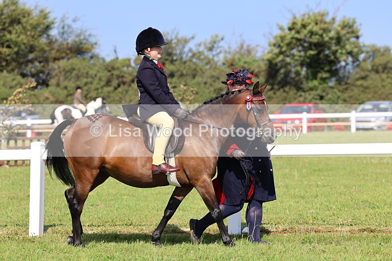 IMG_1704 - Class 31: Lead Rein SP/SHP