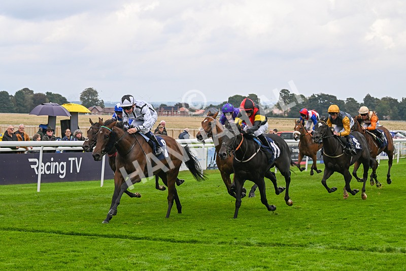 240924-Race 3-Nala Star-6113 - Race 3