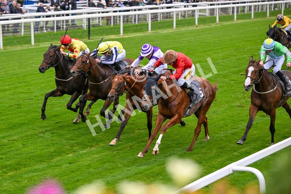 101025-Race 2-Astrazar-6343 - Race 2 British EBF £100,000 Final at York