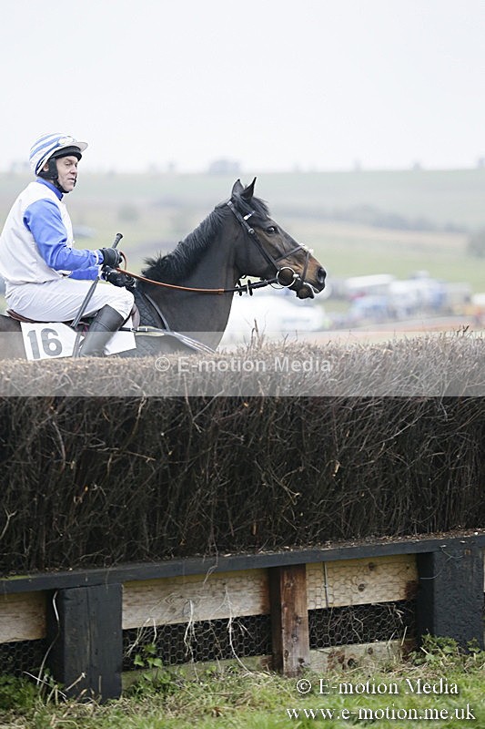PtP 020418 -286 - Old Berks Point-to-Point Races Easter Monday 02/04/18
