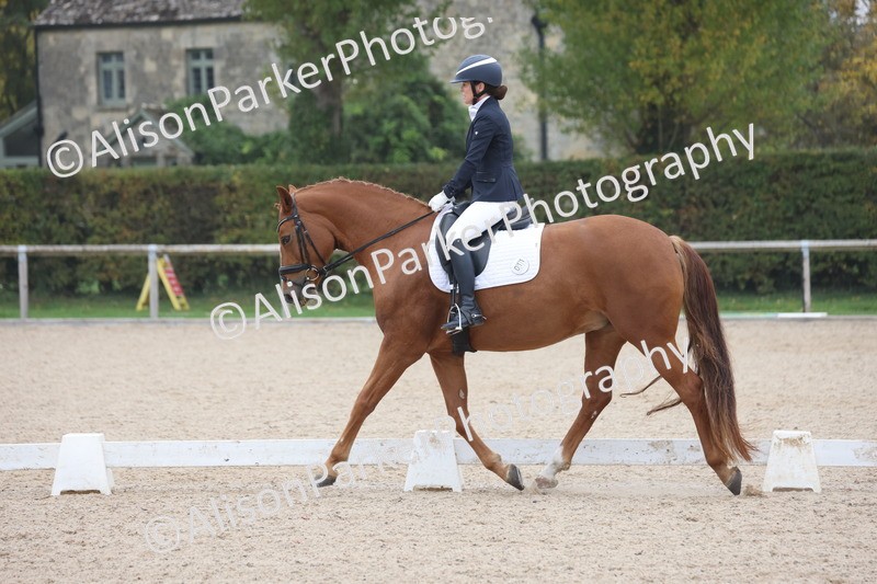 20251012-0550 - Class 4 - Novice 6