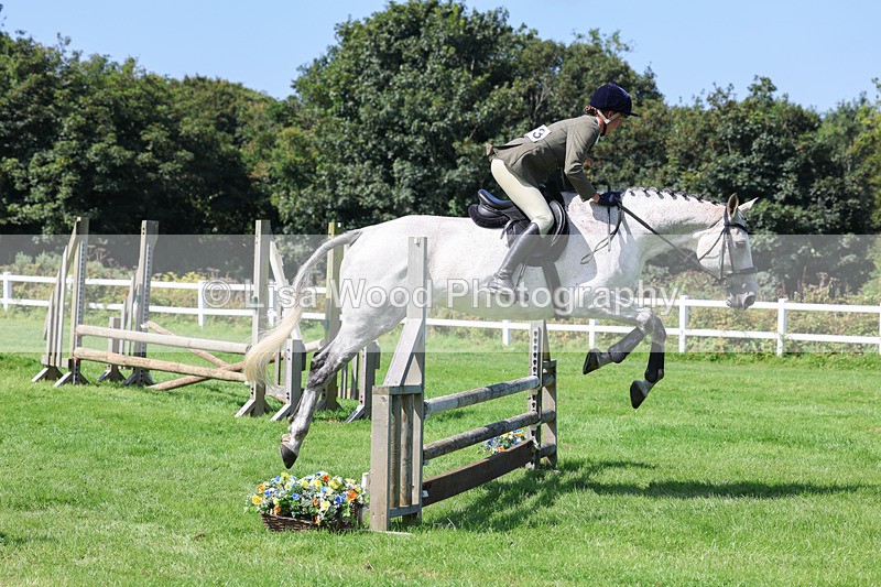 3E7A8584 - Class 5: Working Show Horse