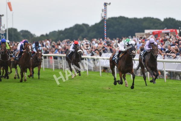 yr20082021r5-24 - Race 5 4.10pm British Stallion Studs EBF Convivial Maiden Stakes (Plus 10 Race)