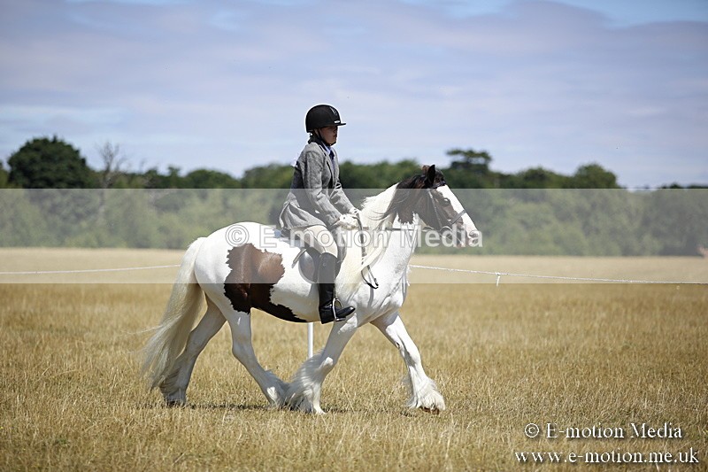 _C7A9851 - BVRC Show 2018 Ring 1