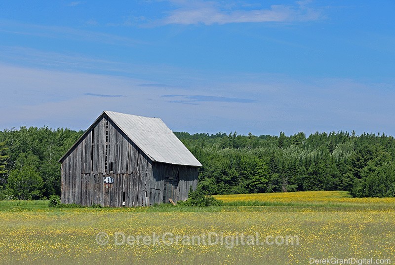 Rough in the Diamond - Old Barns & Buildings
