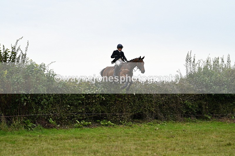 WJ7_4110 - Camera 1 Line 2