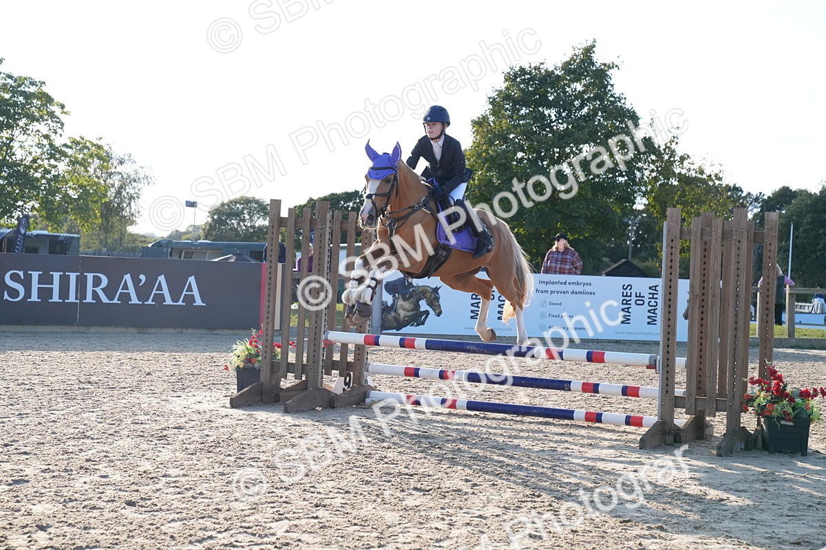 SBM_29880 - J44 - Super Speedy Scurry Open - 70cm