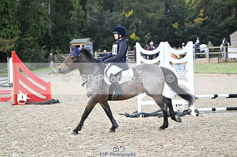 251005A-085601-02893 - Cls 02 GR 50cm