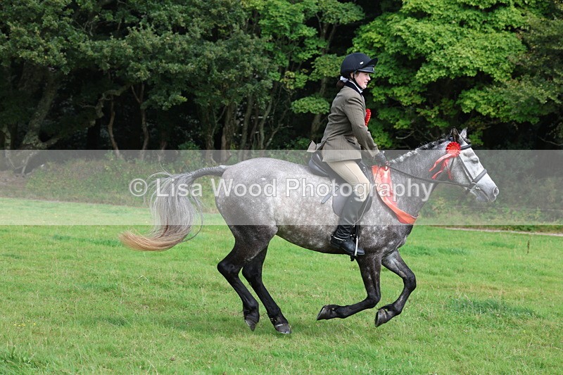 3E7A6210 - Working Hunter Championship