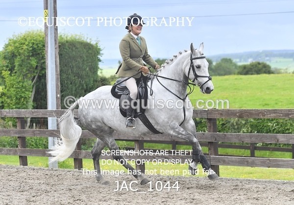 JAC_1044 - CLASS 7 BHS Scotland Riding Club Style Jumping (0.85m)