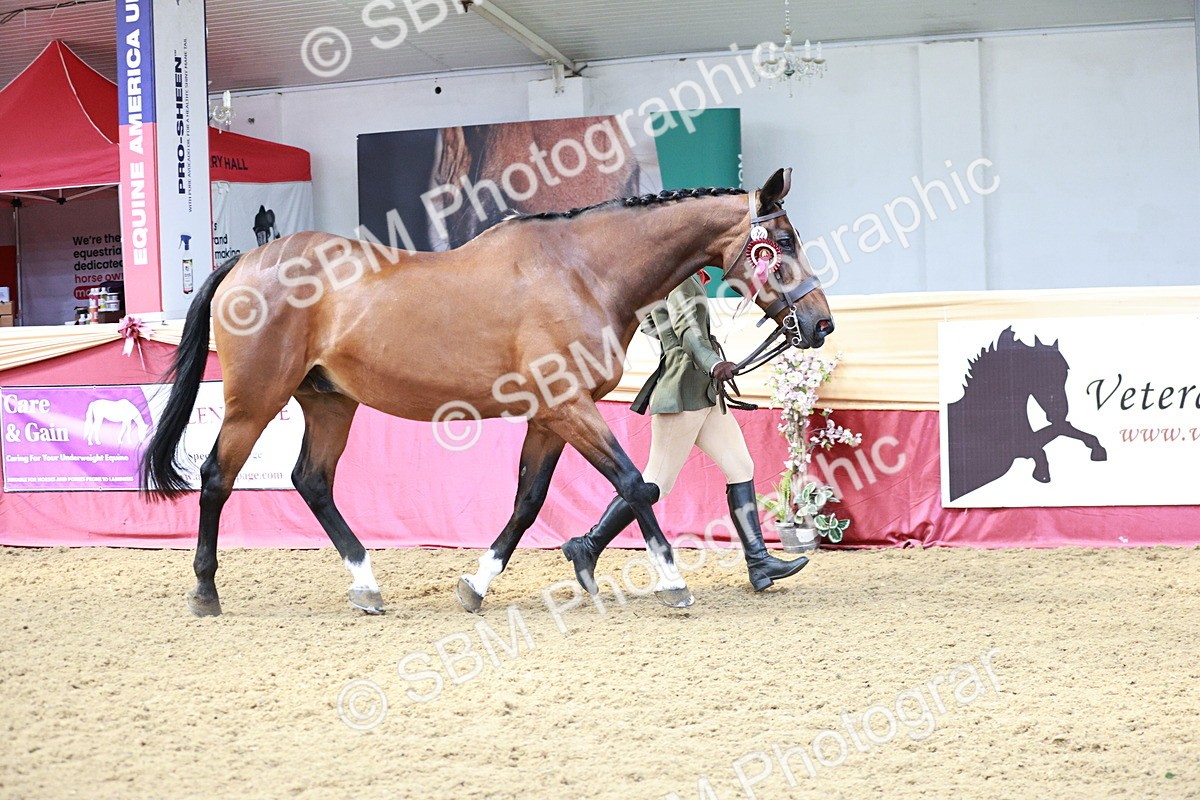 SBM_04903 - Class 7R - Regional IH Diamond