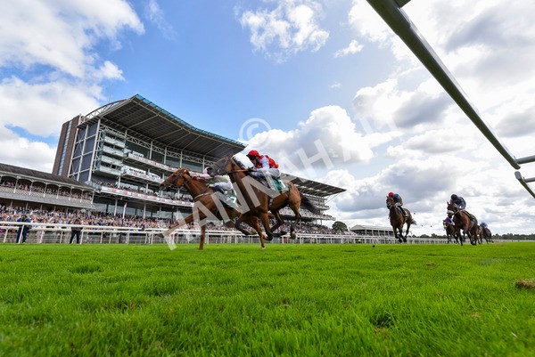 230824-Race 2-Vauban-4216 - Race 2 2.25pm Weatherbys Hamilton Lonsdale Cup Stakes