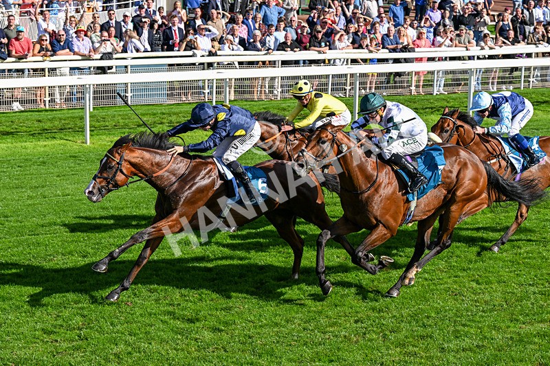 060926-Race 5-Extremely Zain-0332 - Race 5 3.50pm Starman At Tally Ho Stud Garrowby Stakes