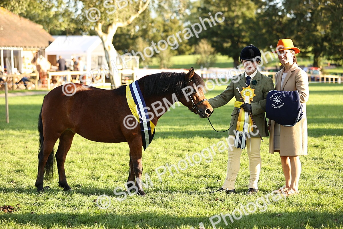 SBM_30136 - Novice & Newcomers Supreme Championship
