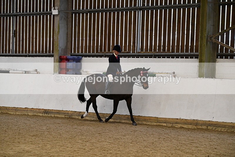 WJ5_7699 - Class 13 Ridden Part Breed