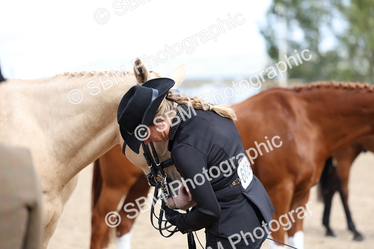 SBM_04493 - Class 26 - IH Foreign Breeds - Part Bred