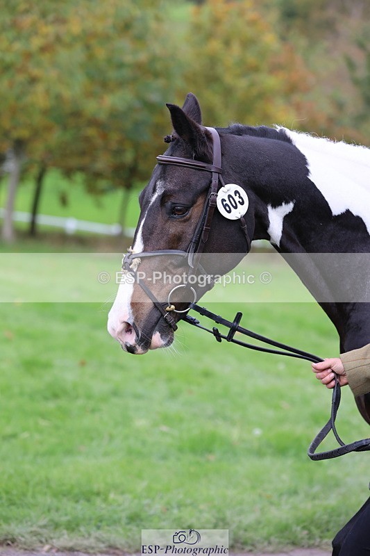 251026A-121455-25985 - H-603-Jodi.Cameron