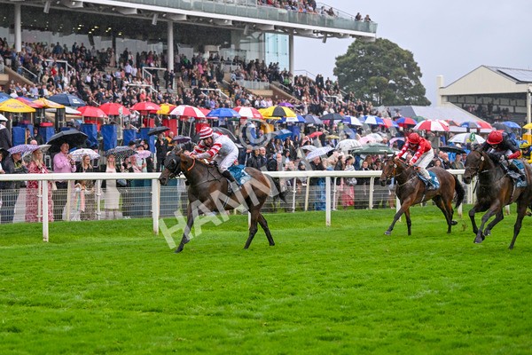 080924-Race 7-Young Fire-9717 - Race 7 5.10pm Elevator Company Amateur Jockeys' Handicap