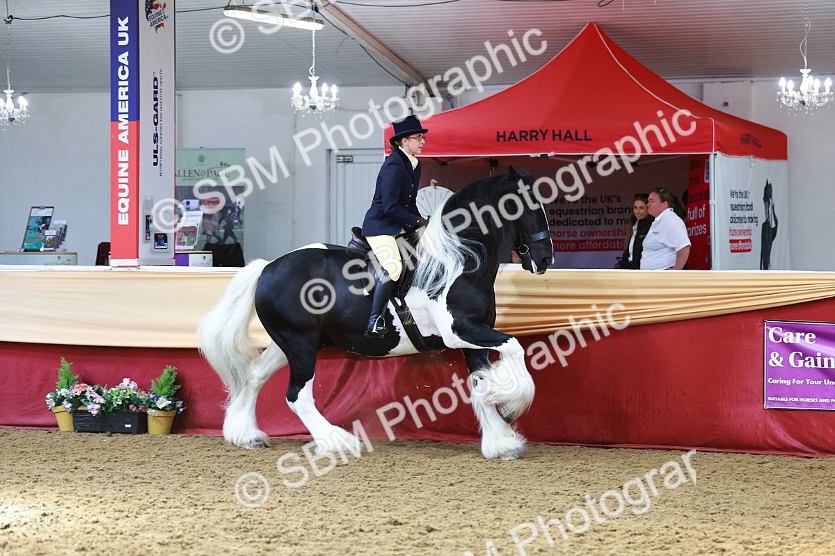 SBM_23330 - class 906 - Supreme Final - Ridden Pre Vet