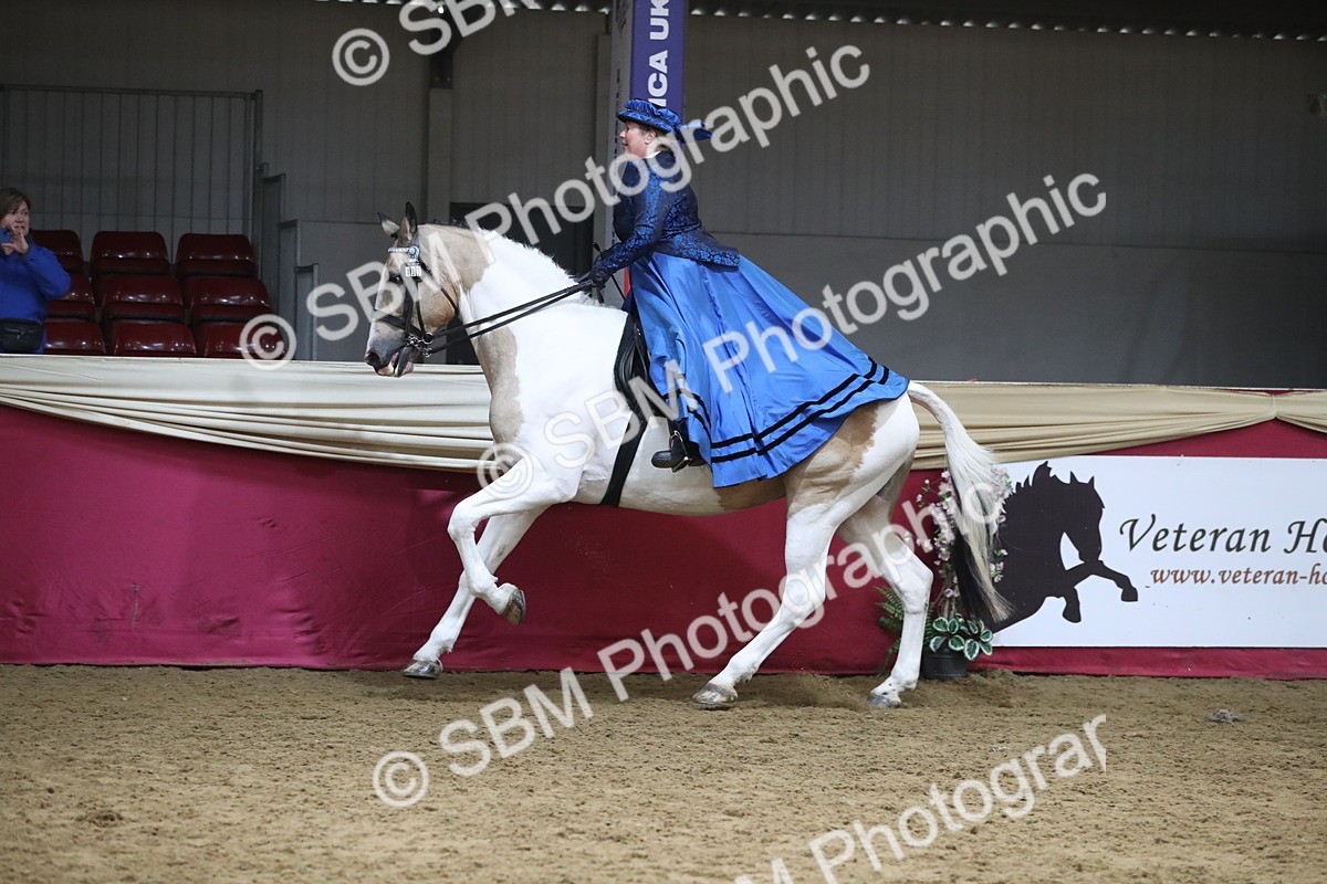 SBM_12039 - Class 106 Ridden Costume- Astride Adult (15-19)