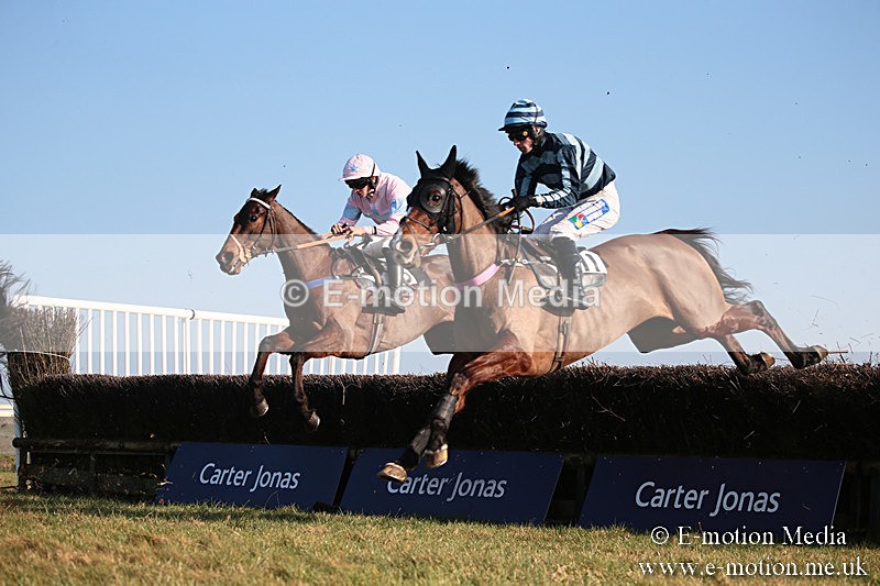 PtP 230219 431 - Vine & Craven Point-To-Point - Barbury 23/02/19