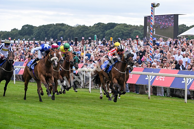 250726-Race 1-Kodiac Thriller-6729 - Race 1 13.30pm Sky Bet 'Jump Jockeys' Nunthorpe' Handicap