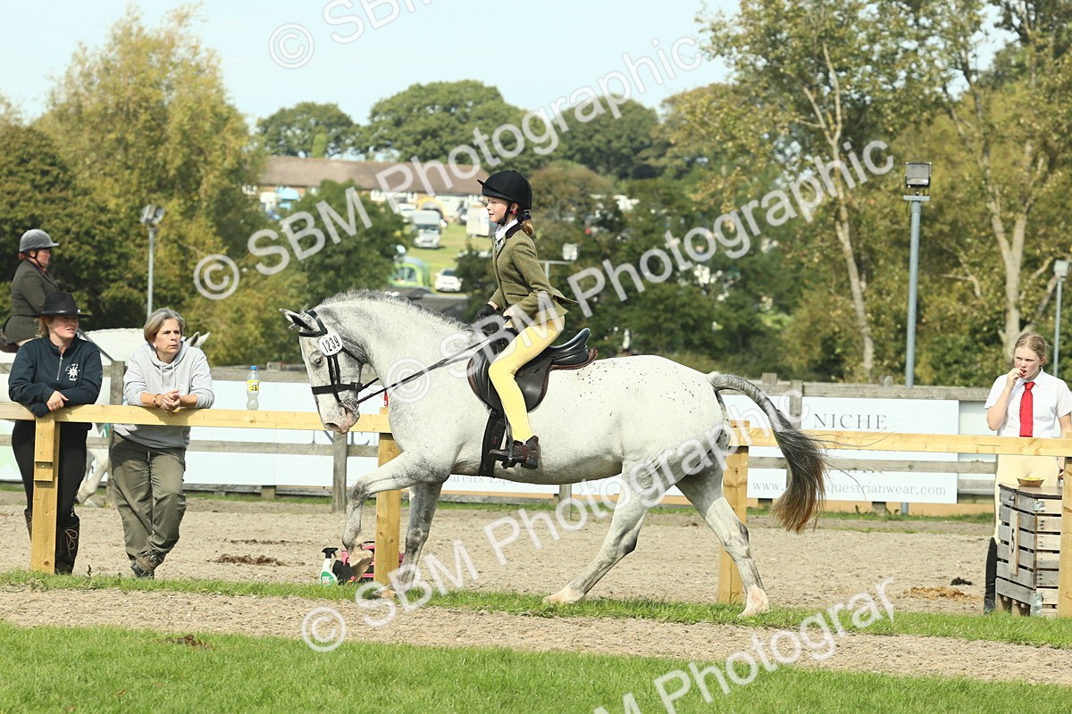 SBM_67550 - S56 - Coloured Pony Ridden