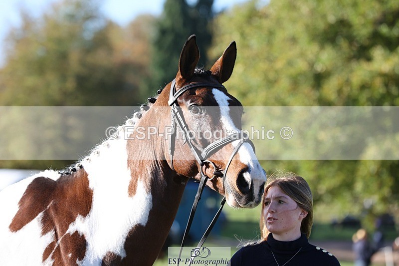 241027-095147-15545 - 331-Amber.Williams-COSMIC.MIKADO