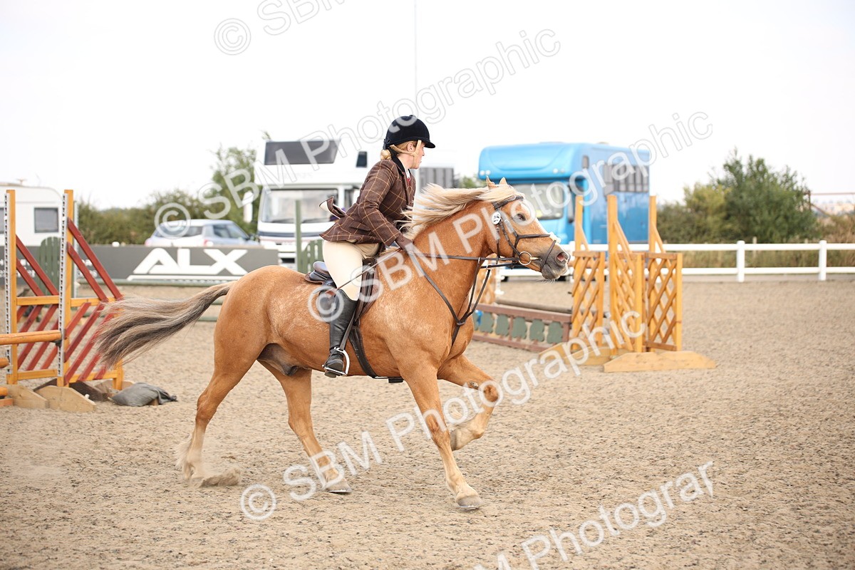 SBM_16002 - Class 408b - Working Veteran 70cm (20+)