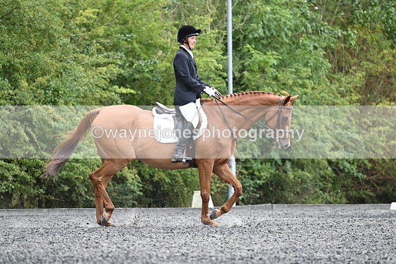 WJ7_7222 - Time 12:53 to 13:18