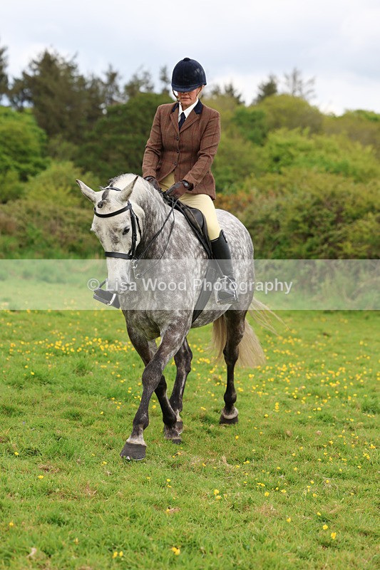 3E7A1153 - Class 7: Ridden Hunter Type