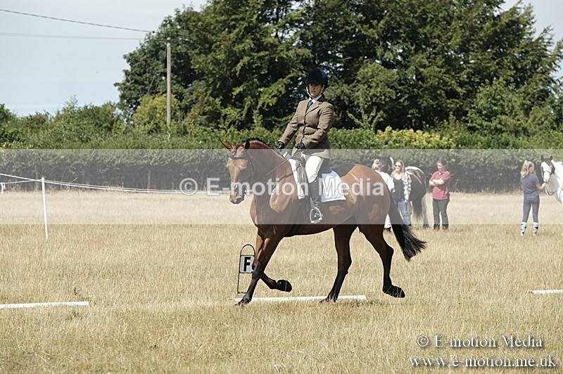 _PJP5833 - Dressage Classes BVRC Show 2018
