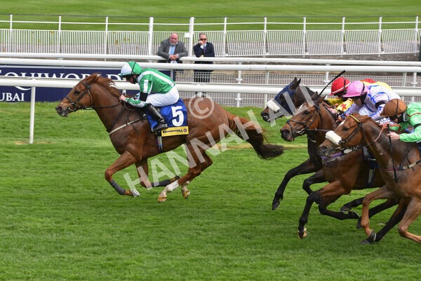 yr12052021r2-44 - Race 2 2.10pm Churchill Tyres Stakes