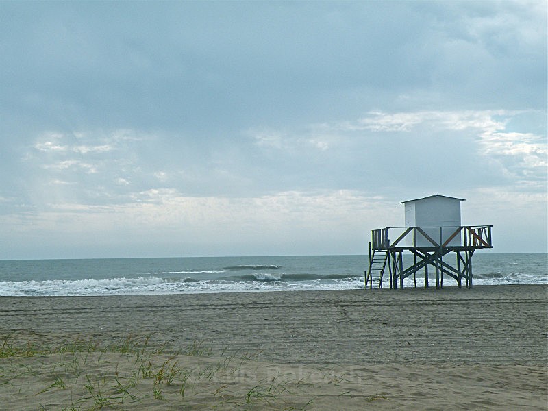  - Sea