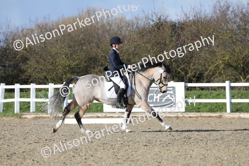 20260314-5845 - DR 7 - Elementary 1