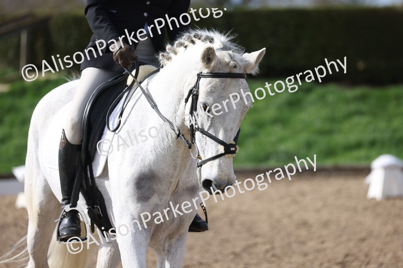 20260228-0683 - Class 5 - Novice 2