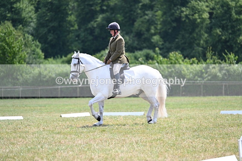 WJ7_8059 - Time 13:18 to 13:32