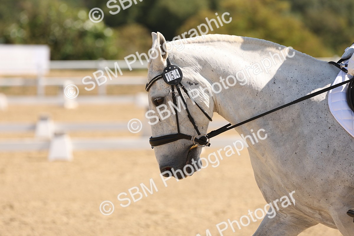SBM_001095 - Intro 2
