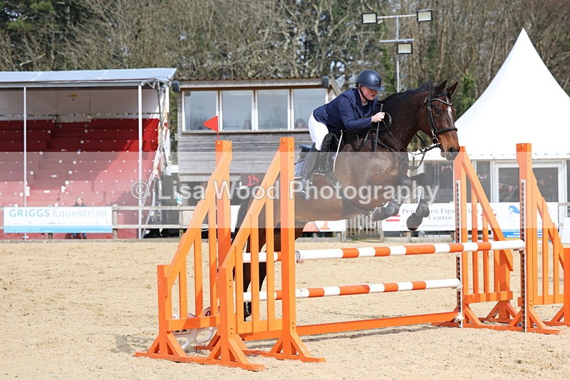 3E7A6900 - Class 4: Senior British Novice/90cm open