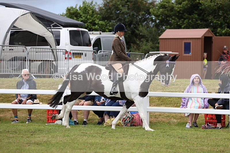 3E7A0913 - Class 8: Open Riding Horse/Hack