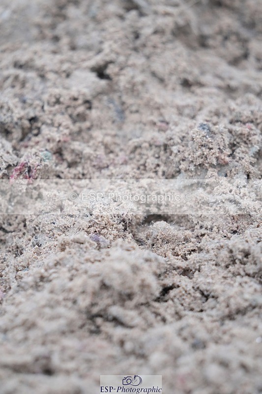 251109-135928-04404 - Cls 22 Snr 1.30m and 1.40m