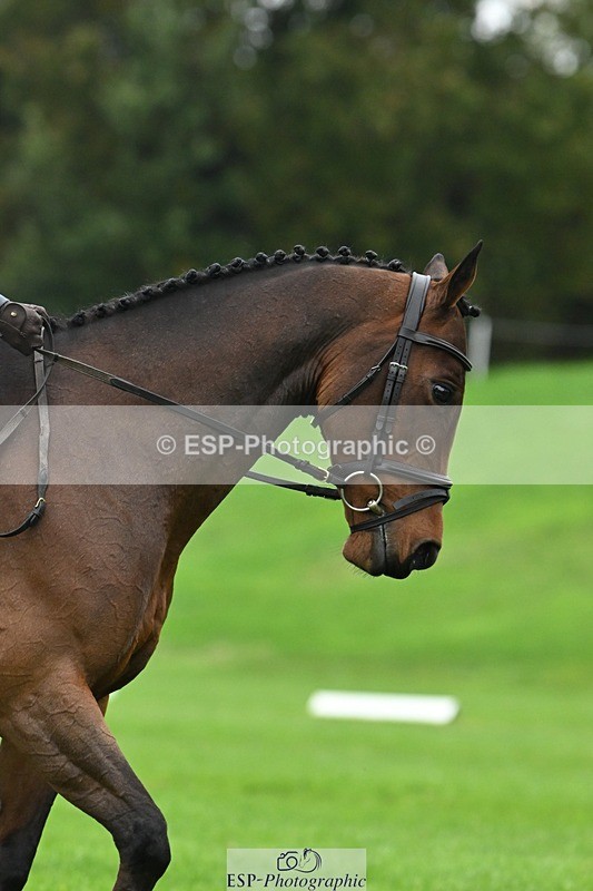 241024-140115-04374 - 412-Holly.Horton-MILTONHILL.MALENKI